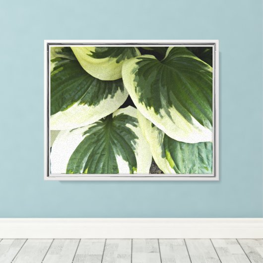 Toile Flore Plante Hosta varié (Insitu (Plancher de Bois))
