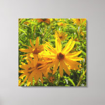 Flores en mi hierbas " fleurs dans mes mauvaises h