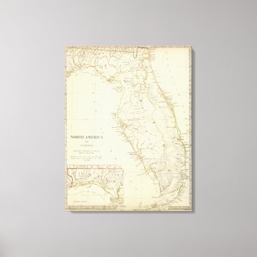 Toile Floride 11 (Recto)