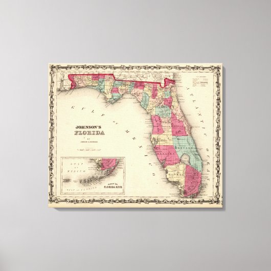 Toile Floride 11 (Recto)