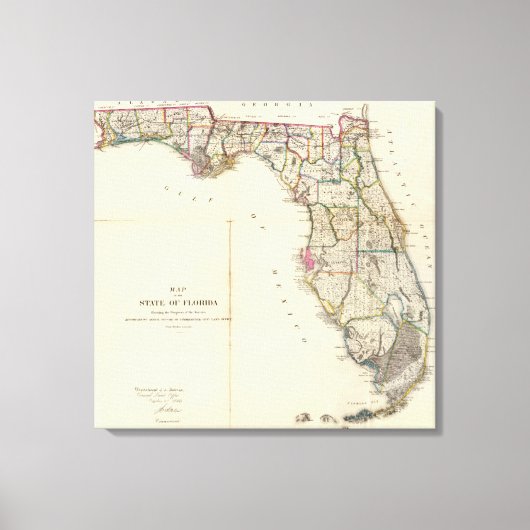 Toile Floride 9 (Recto)