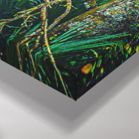 "Floride Backwoods" Wall Art