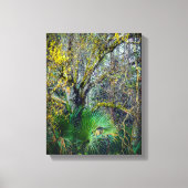 Toile "Floride Backwoods" Wall Art (Recto)