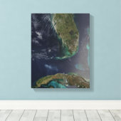 Toile Floride et Cuba (Insitu (Plancher de Bois))