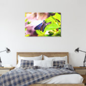 Toile Floride Keys Bahia Honda Blue Butterfly (Insitu(Chambre))