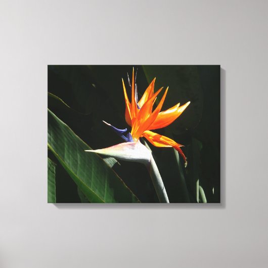 Toile Flower tropical orange paradise (Recto)