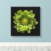 Toile Flowers | Green Chrysanthemum (Insitu (Plancher de Bois))