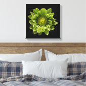 Toile Flowers | Green Chrysanthemum (Insitu(Chambre))