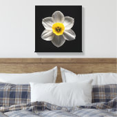 Toile Flowers | White Daffodil Flower (Insitu(Chambre))