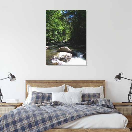 Toile Flux de montagne (Insitu(Chambre))