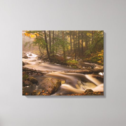 Toile Flux Flux Sentier Appalachien | Vermont (Recto)