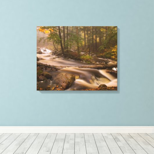 Toile Flux Flux Sentier Appalachien | Vermont (Insitu (Plancher de Bois))