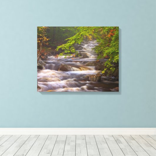 Toile Flux le long du sentier des Appalaches (Insitu (Plancher de Bois))