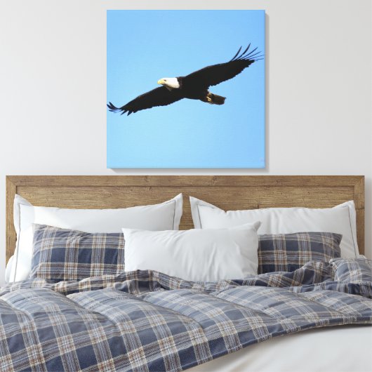 Toile Flyby de Bald Eagle (Insitu(Chambre))