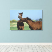 Toile Foals Jouer 2 (Insitu (Plancher de Bois))