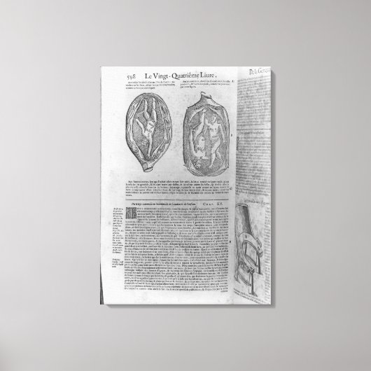 Toile Foetus, illustration de 'Oeuvres' (Recto)