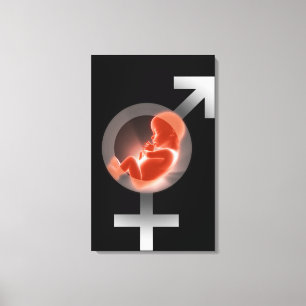 Toile Foetus superposé au-dessus des symboles masculins