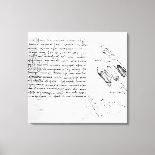 Toile Fol. 49v du Codex Arundel 263, 1490s-1518