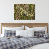 Toile Forager du Sud-Ouest (Insitu(Chambre))