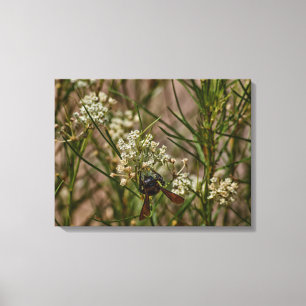 Toile Forager du Sud-Ouest