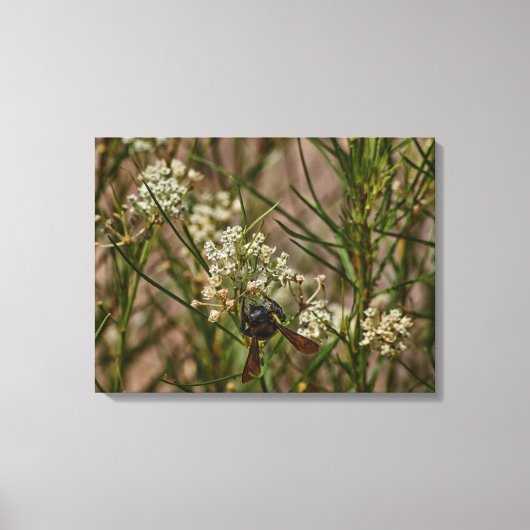 Toile Forager du Sud-Ouest (Recto)