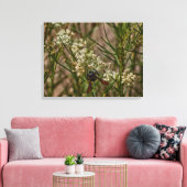 Toile Forager du Sud-Ouest (Insitu(Salon))