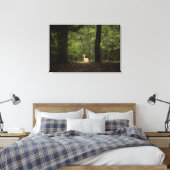 Toile Forest | A White Tailed Deer in the Woods (Insitu(Chambre))