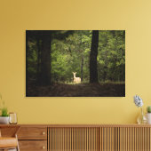 Toile Forest | A White Tailed Deer in the Woods (Insitu(Salon))