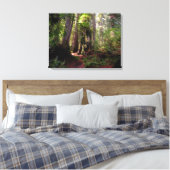 Toile Forest | Séquwood Forest California (Insitu(Chambre))