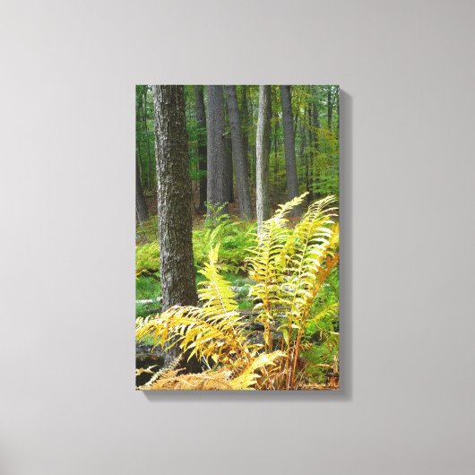 Toile Forêt (12 x 18) (Recto)
