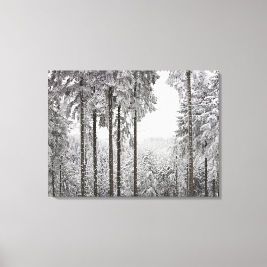 Toile Forêt à feuillage persistant en hiver (Recto)