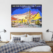 Toile Forêt ancienne de pins à Bristlecone, Californie (Insitu(Chambre))