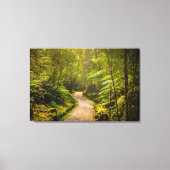 Toile Forêt | Chemin De Marche Dans La Forêt (Recto)