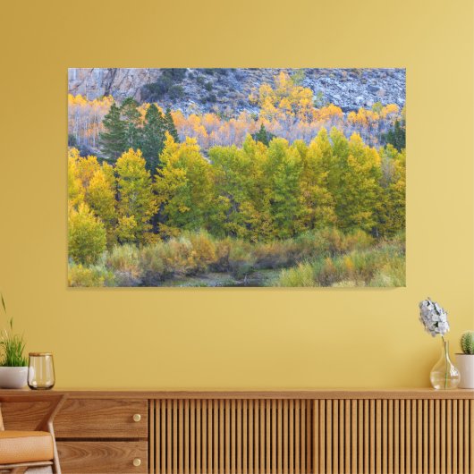 Toile Forêt d'Aspen à l'automne (Insitu(Salon))
