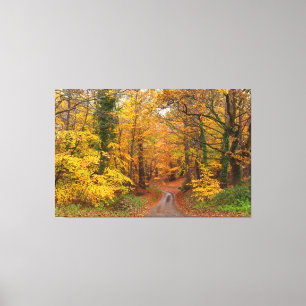 Toile Forêt d'automne aux couleurs époustouflantes ave