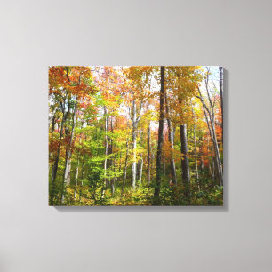 Toile Forêt d'automne I Photographie de paysage automnal