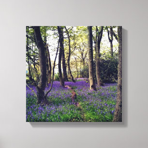 Toile Forêt de Bluebells Floral moderne élégant