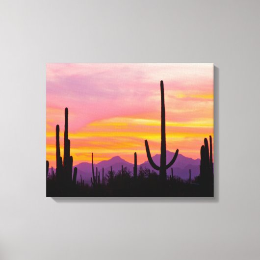 Toile Forêt de Cactus du Saguaro au coucher du soleil (Recto)