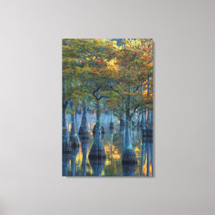 Toile Forêt de cyprès de bassin