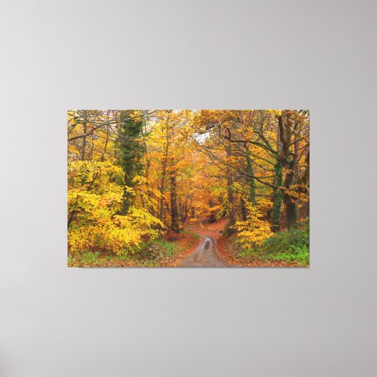 Toile Forêt de l'automne avec chemin (Recto)