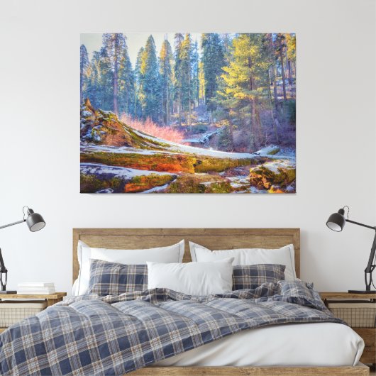 Toile Forêt de Sequoia (Insitu(Chambre))