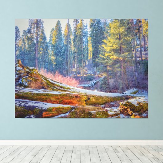 Toile Forêt de Sequoia (Insitu (Plancher de Bois))