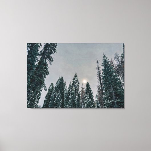 Toile Forêt enneigée avec soleil (Recto)