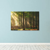 Toile Forêt | Forêt d'automne (Insitu (Plancher de Bois))