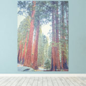 Toile Forêt géante de Sequoia (Insitu (Plancher de Bois))