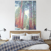Toile Forêt géante de Sequoia (Insitu(Chambre))
