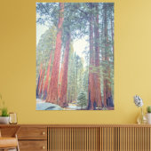 Toile Forêt géante de Sequoia (Insitu(Salon))
