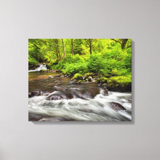 Toile Forêt nationale de Siuslaw, ruisseau Sweet, Oregon (Recto)