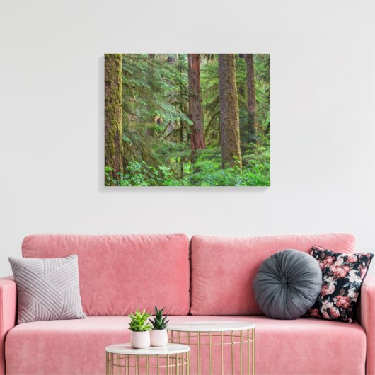 Toile Forêt nationale de Willamette | Oregon (Insitu(Salon))