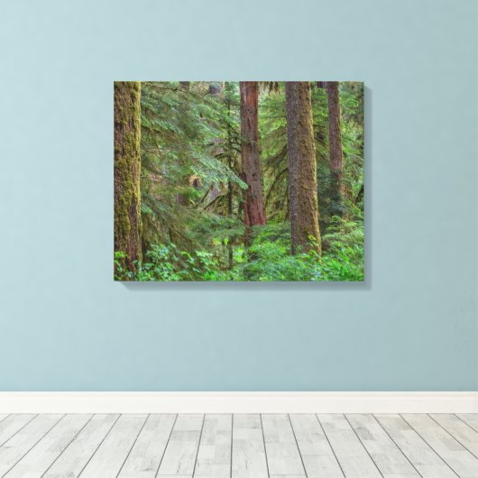Toile Forêt nationale de Willamette | Oregon (Insitu (Plancher de Bois))